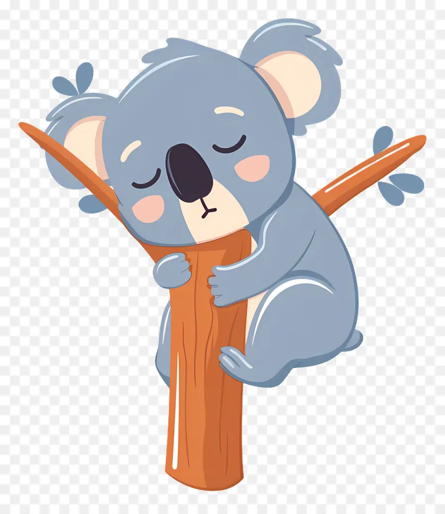 Sevimli Koala，Uyuyan Koala PNG