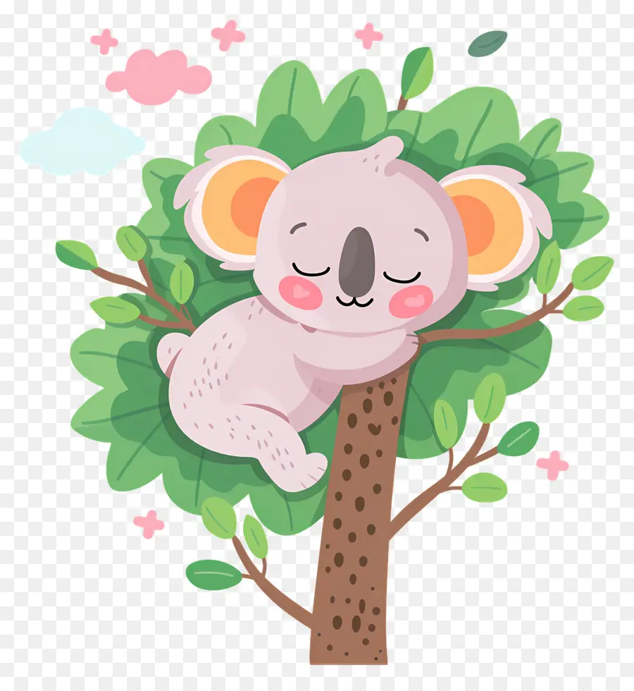 Sevimli Koala，Ağaçtaki Koala PNG