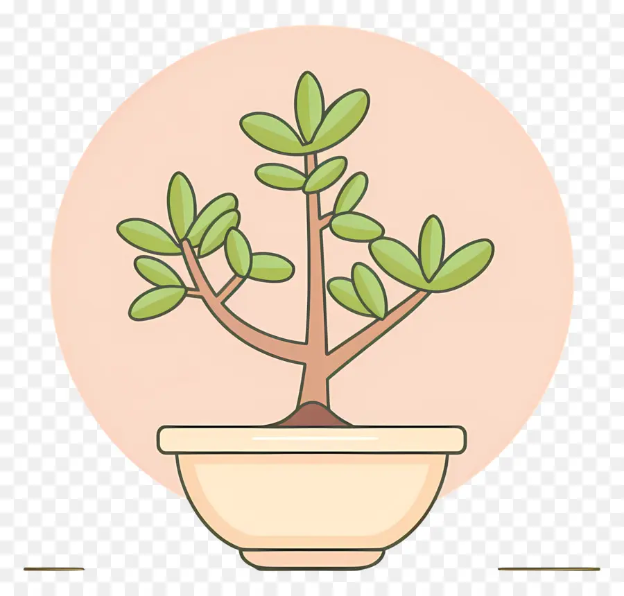 Bonsai Ağacı，Saksı Bitkisi PNG