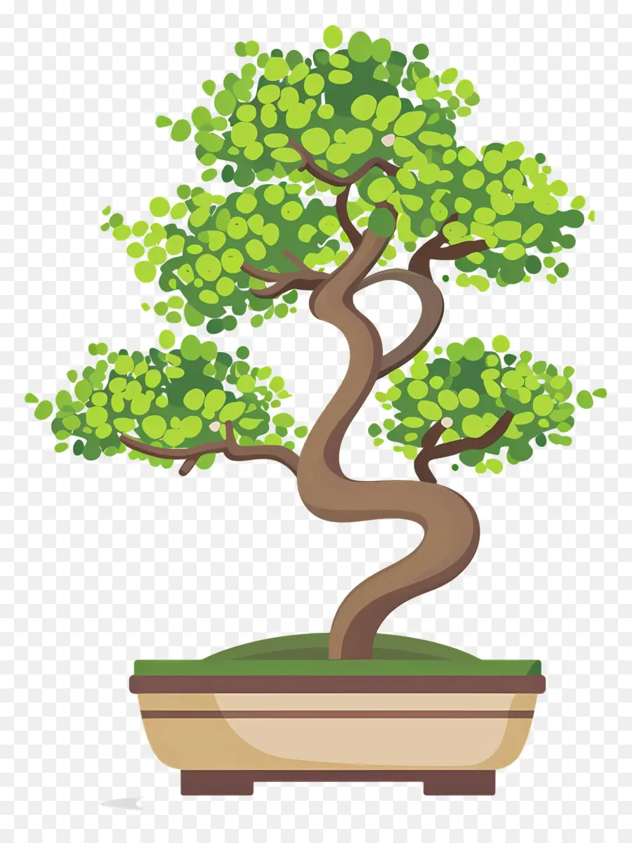 Bonsai Ağacı，Minyatür PNG