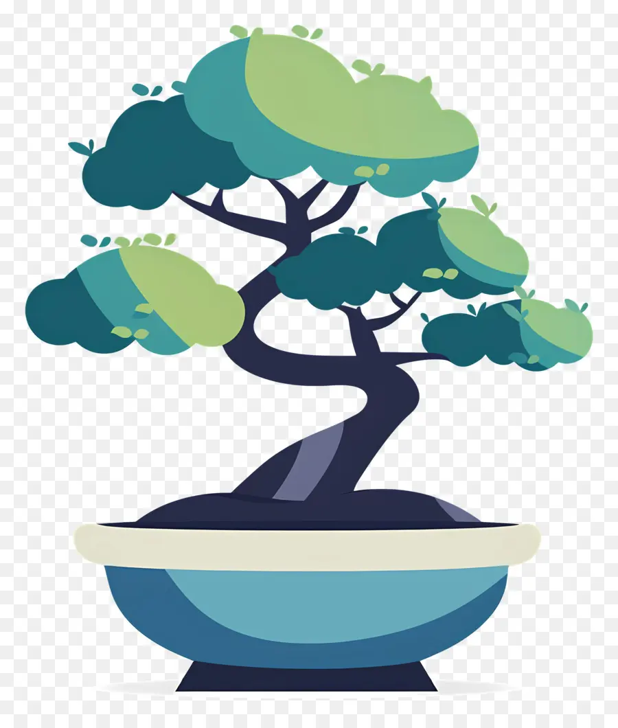 Bonsai Ağacı，Bitki PNG