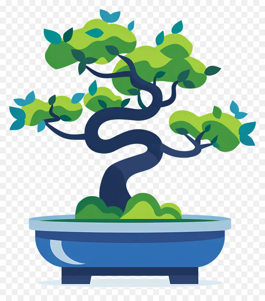 Bonsai Ağacı，Bitki PNG