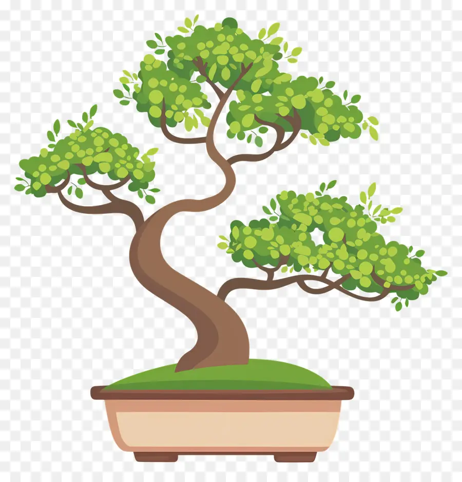 Bonsai Ağacı，Minyatür PNG