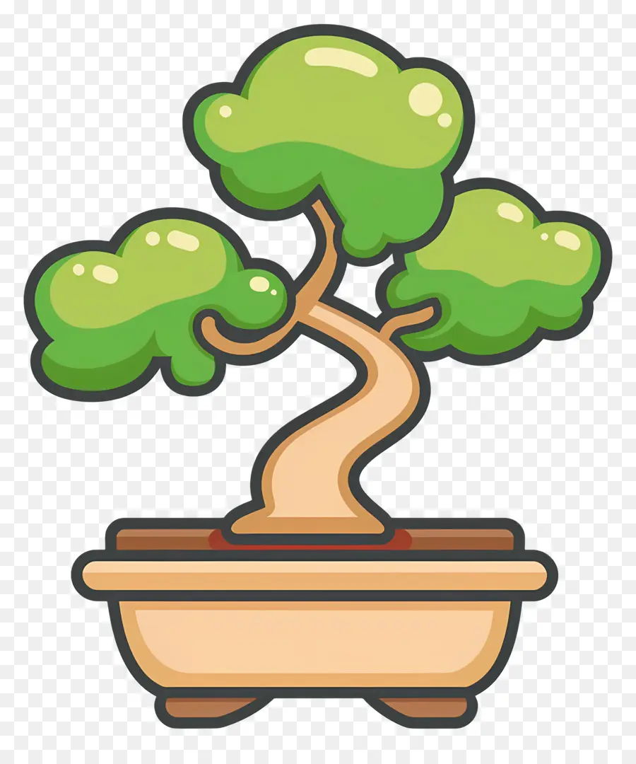 Bonsai Ağacı，Bitki PNG