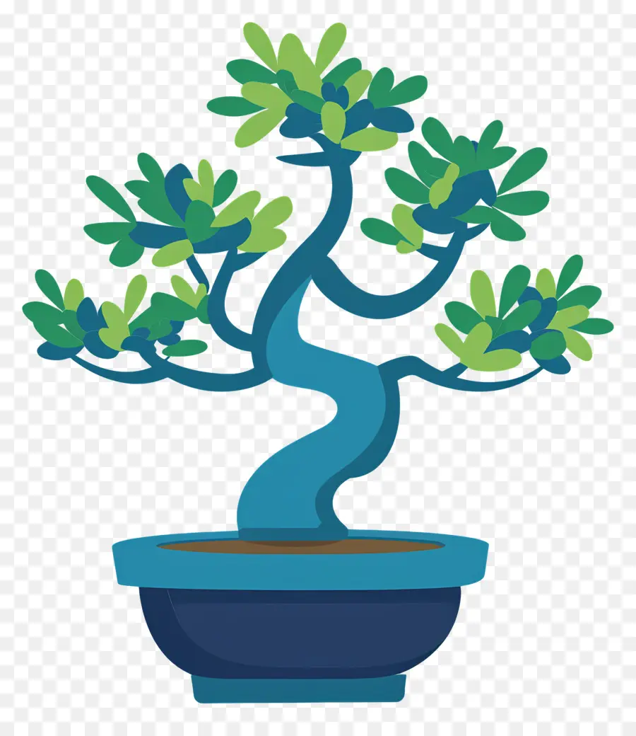 Bonsai Ağacı，Bitki PNG