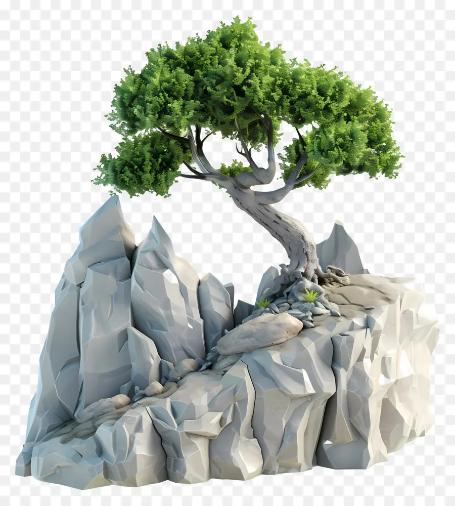 Dağ Ağacı，Bonsai Ağacı PNG