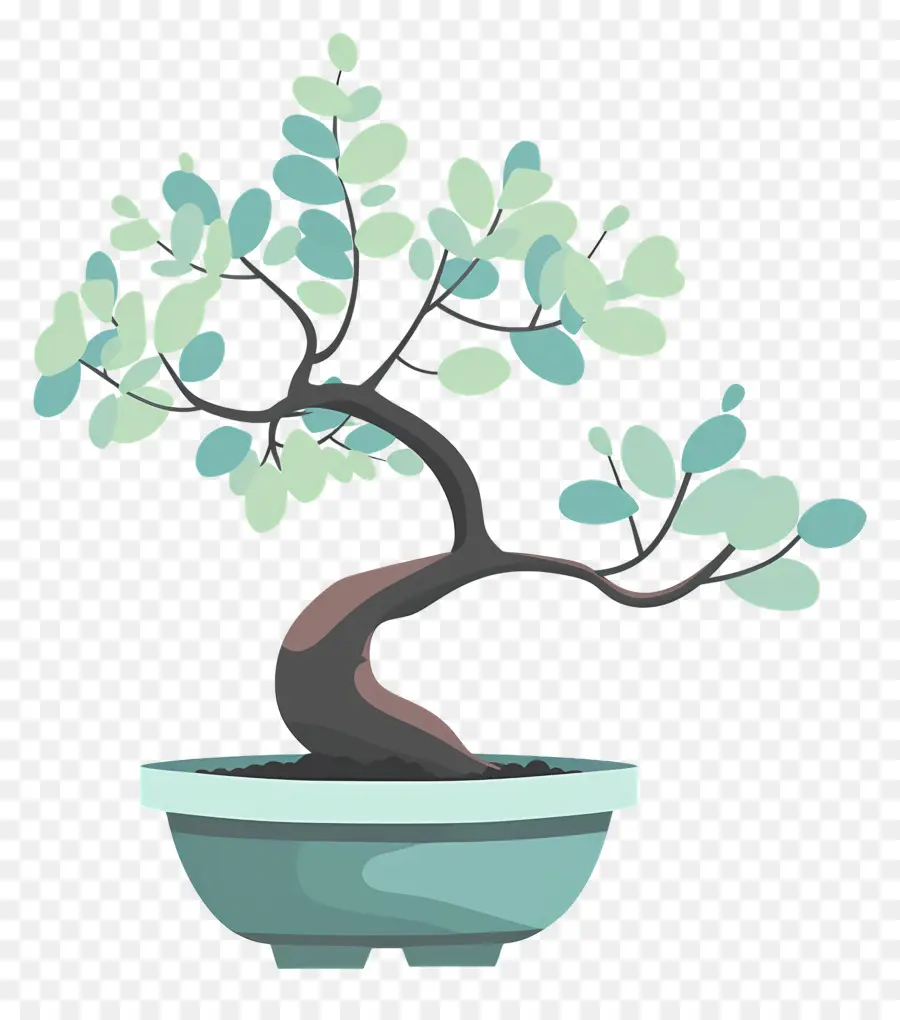 Bonsai Ağacı，Bitki PNG