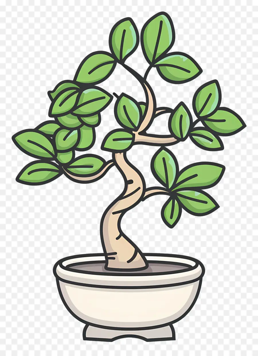 Bonsai Ağacı，Bitki PNG