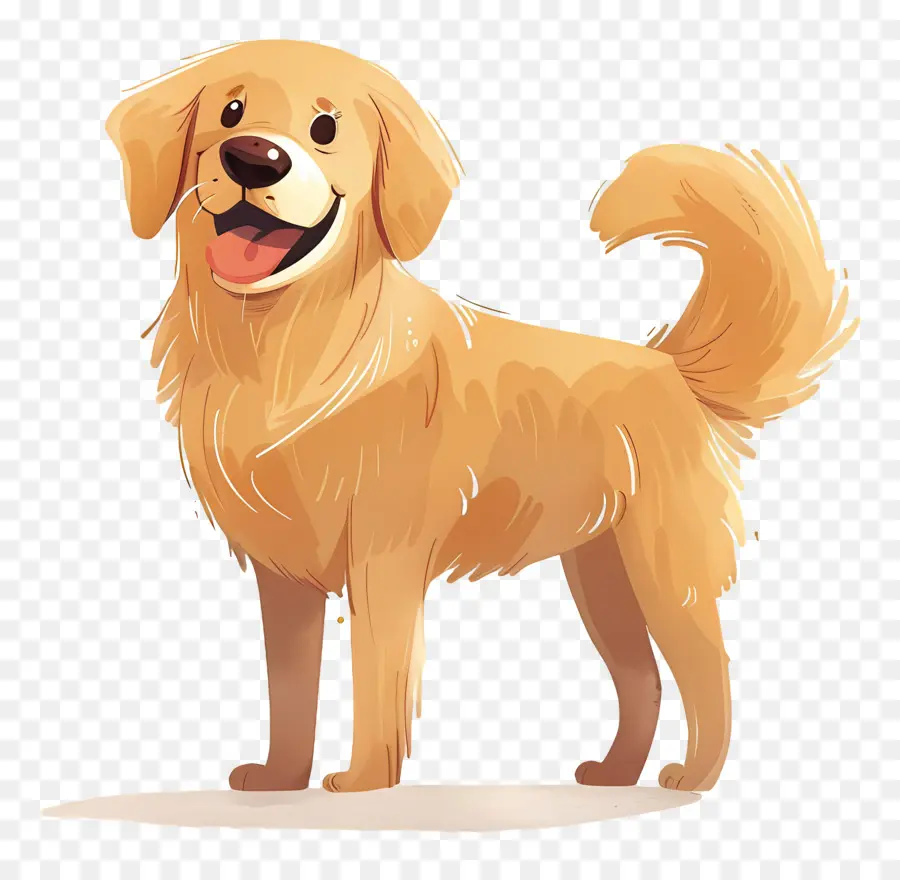 Köpek Golden Retriever，Karikatür Köpek PNG