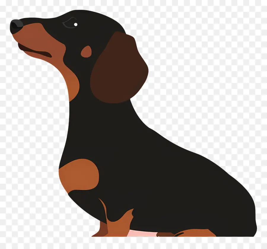 Animasyonlu Köpek，Köpek Profili PNG