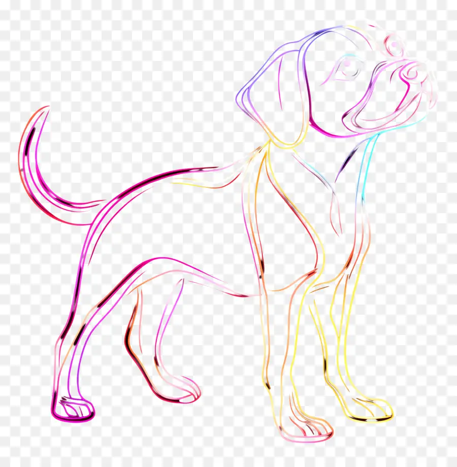 Neon Hattı，Renkli Köpek PNG