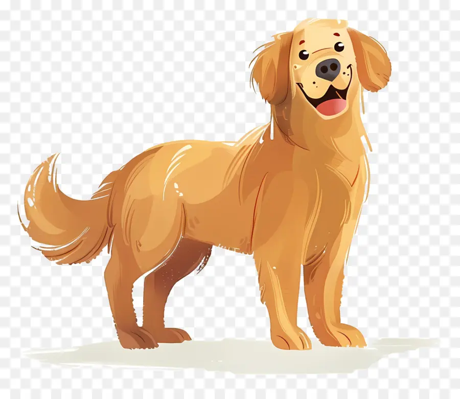 Köpek Golden Retriever，Golden Retriever PNG