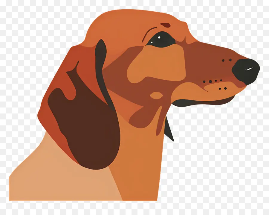 Animasyonlu Köpek，Köpek Profili PNG