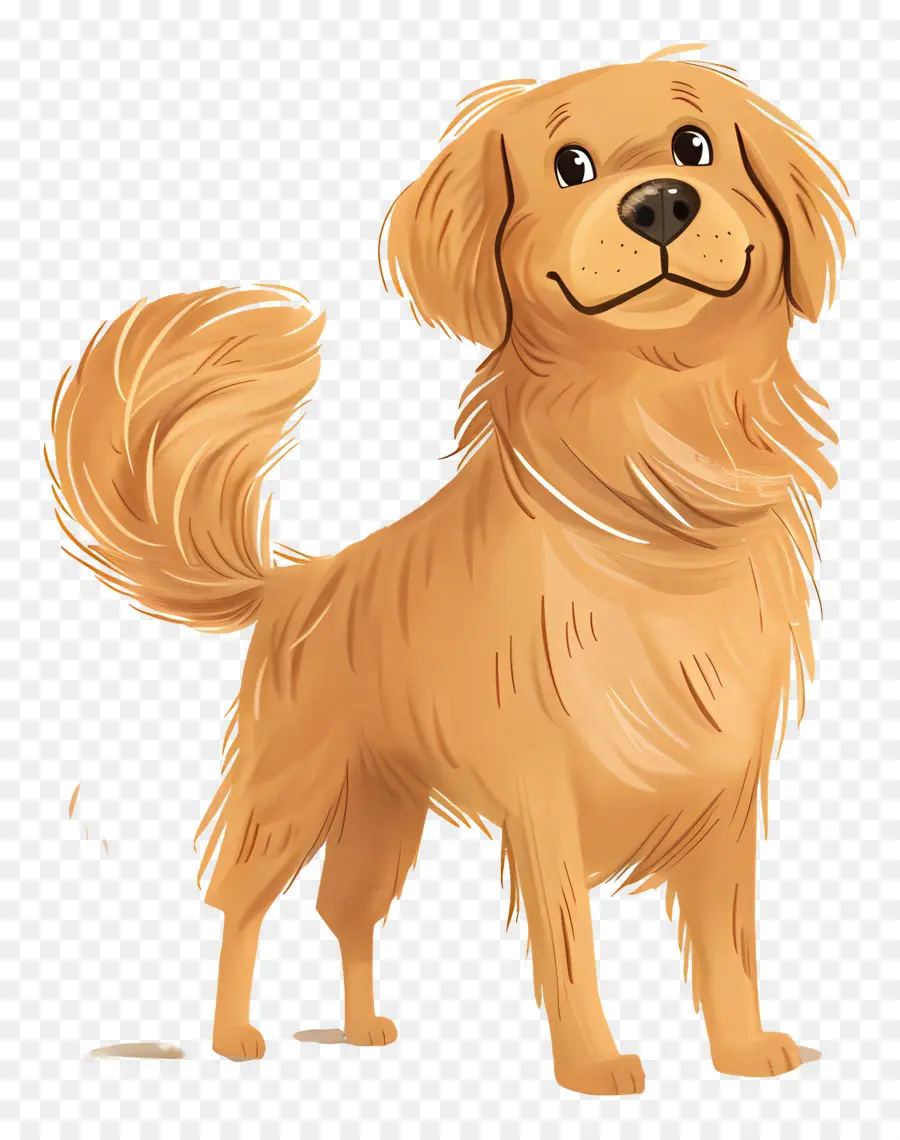 Köpek Golden Retriever，Altın Köpek PNG