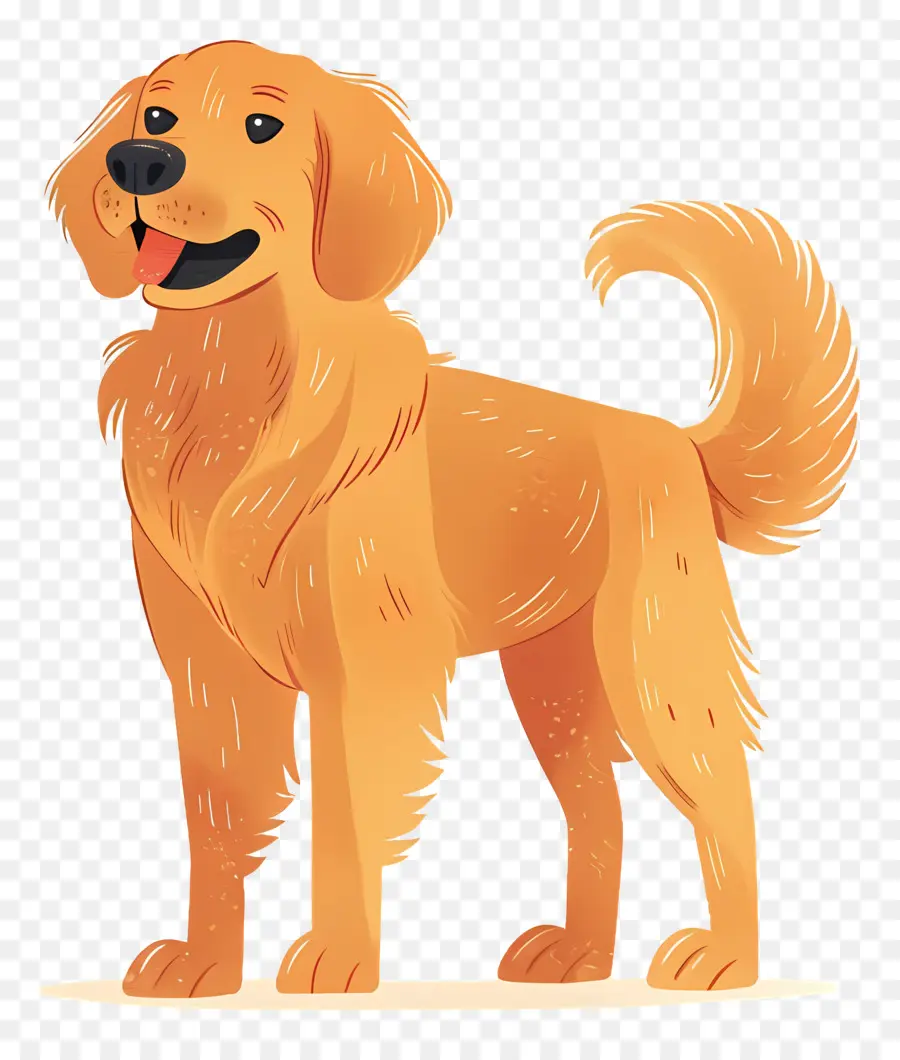 Köpek Golden Retriever，Karikatür Köpek PNG