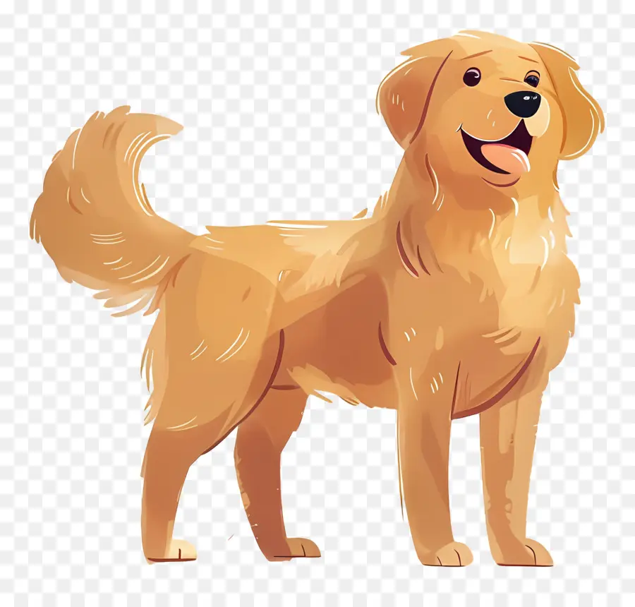 Köpek Golden Retriever，Golden Retriever PNG