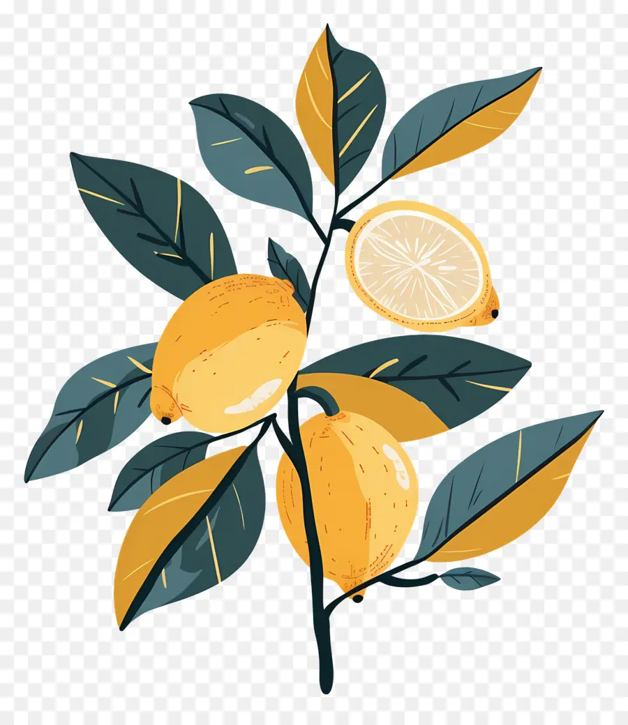 Yapraklı Limonlar，Limon Ve Çiçekler PNG