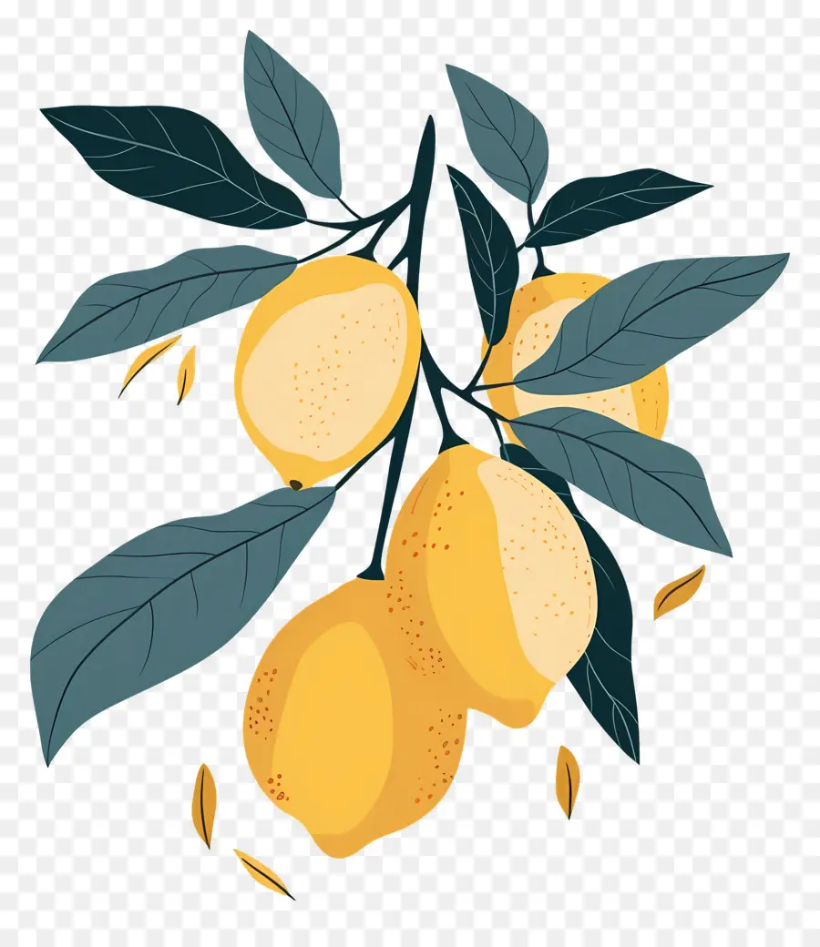 Yapraklı Limonlar，Sarı Limon PNG