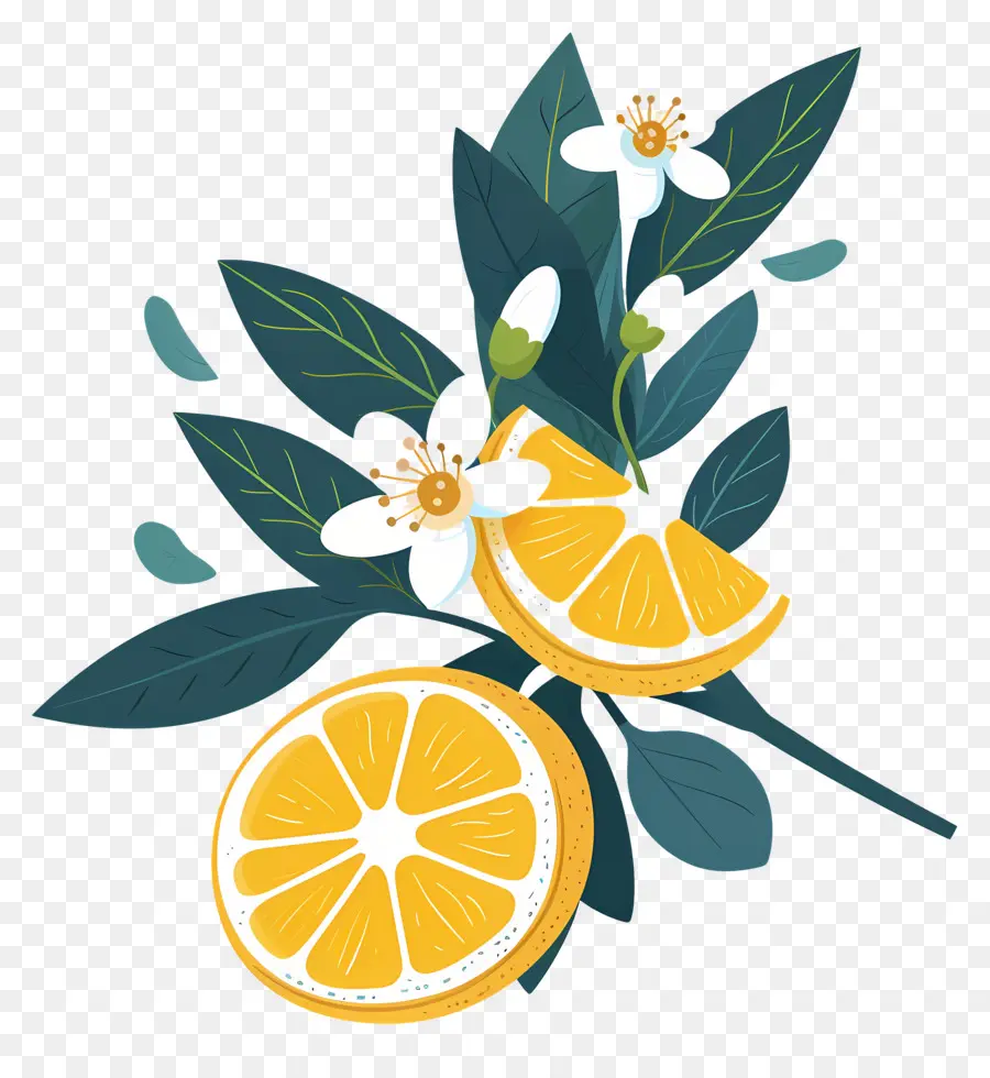 Yapraklı Limonlar，Limon Ve Çiçekler PNG