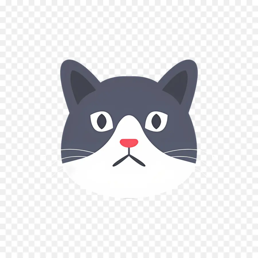 Kedi Emojisi，Ciddi Kedi PNG