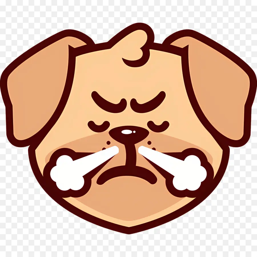 Köpek Emojisi，Kızgın Köpek PNG