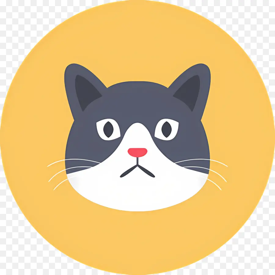 Kedi Emojisi，Kedi Yüzü PNG