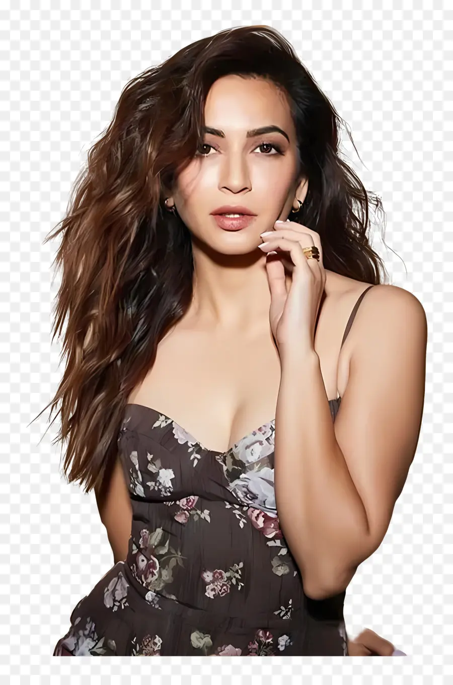 Kriti Kharbanda，Kadın Portresi PNG