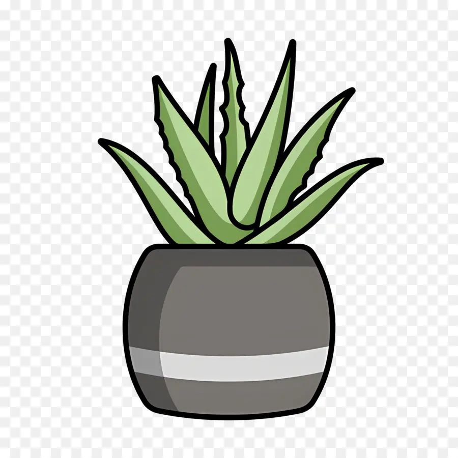 Aloe Vera，Saksı Bitkisi PNG