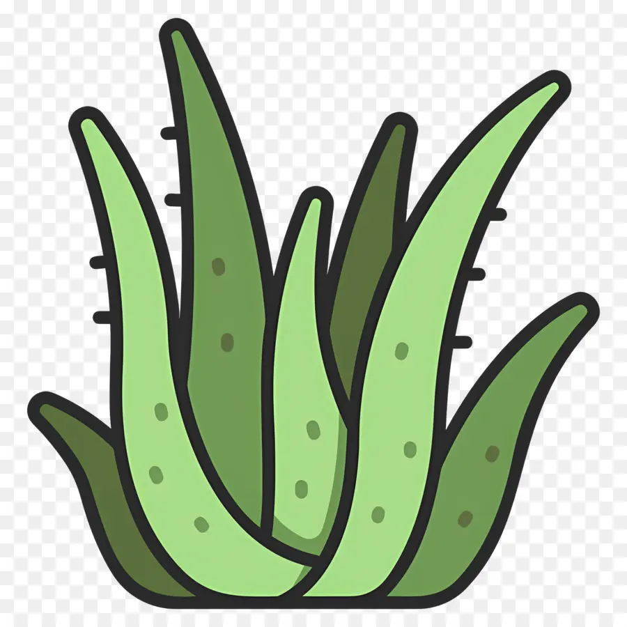 Aloe Vera，Aloe Vera Bitkisi PNG