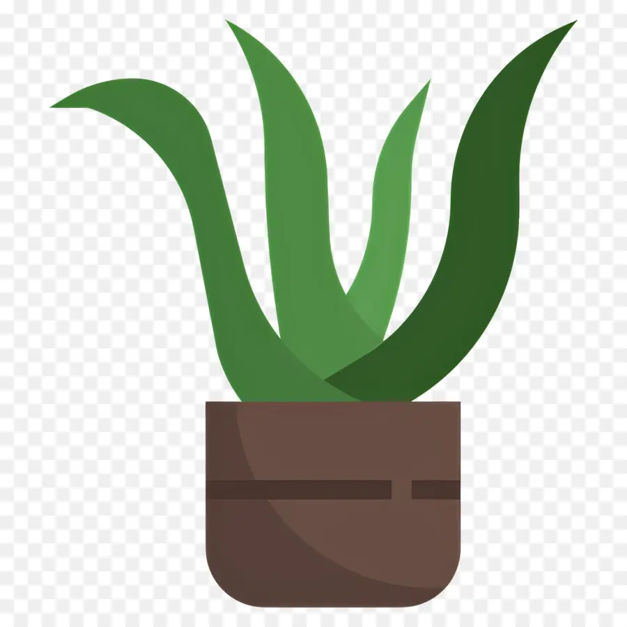 Aloe Vera，Saksı Aloe Vera PNG