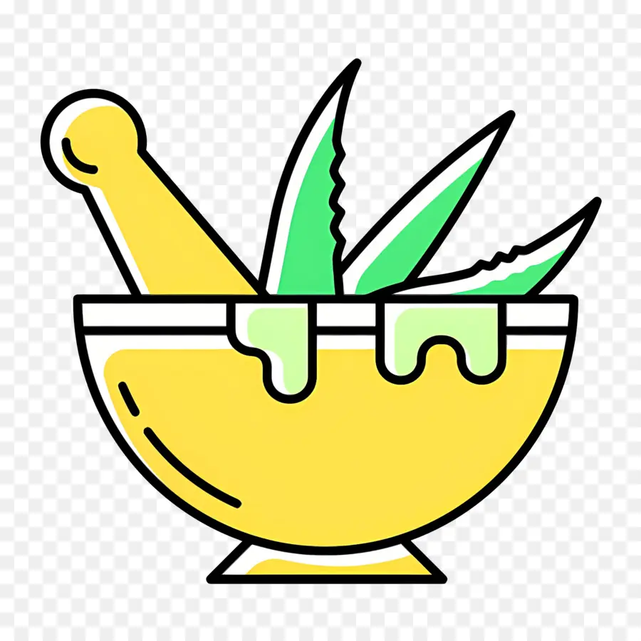 Aloe Vera，Aloe Vera Kasesi PNG