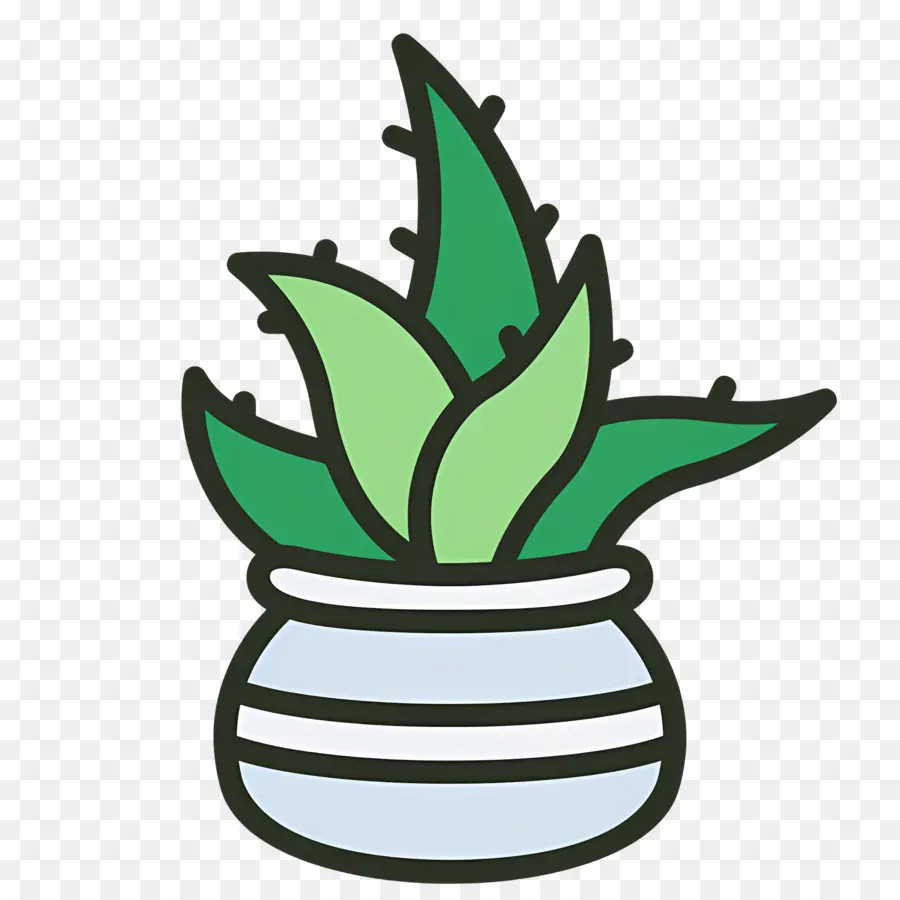 Aloe Vera，Saksı Aloe Vera PNG