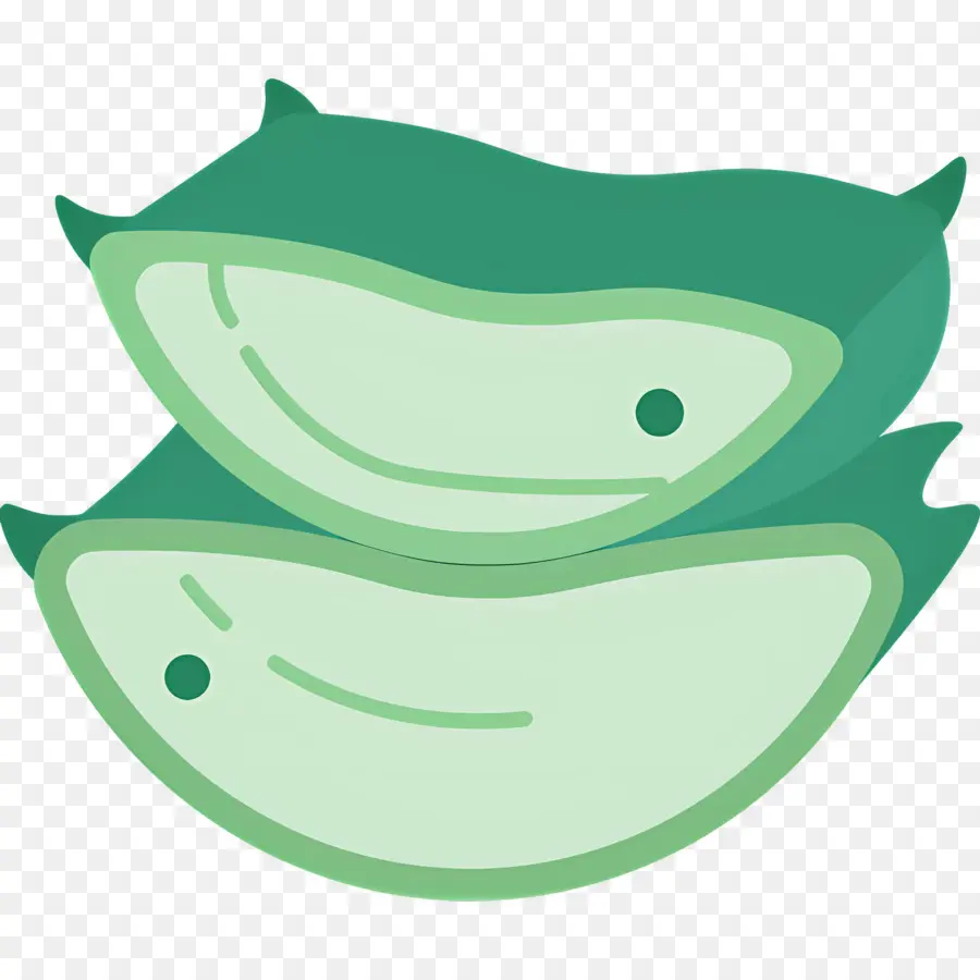 Aloe Vera，Yaprak PNG