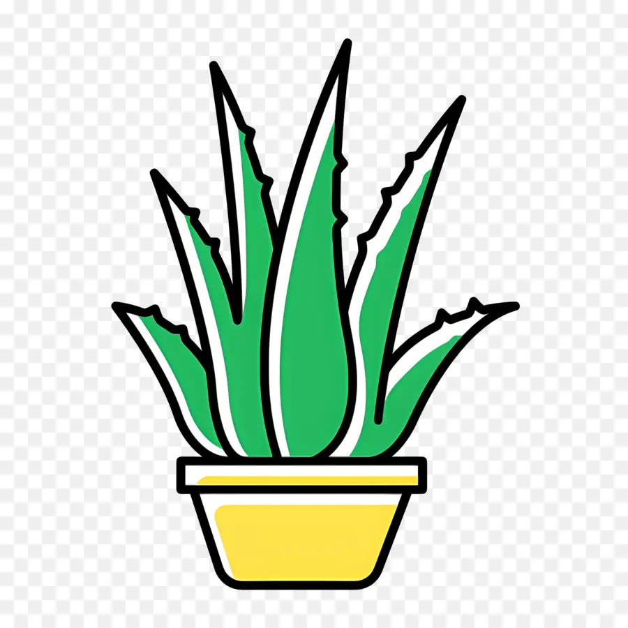 Aloe Vera，Saksı Aloe Vera PNG