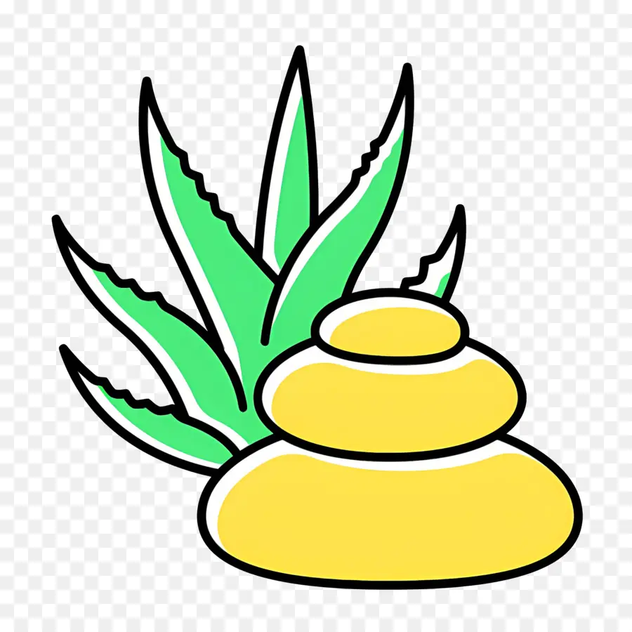 Aloe Vera，Aloe Veralı Krem PNG