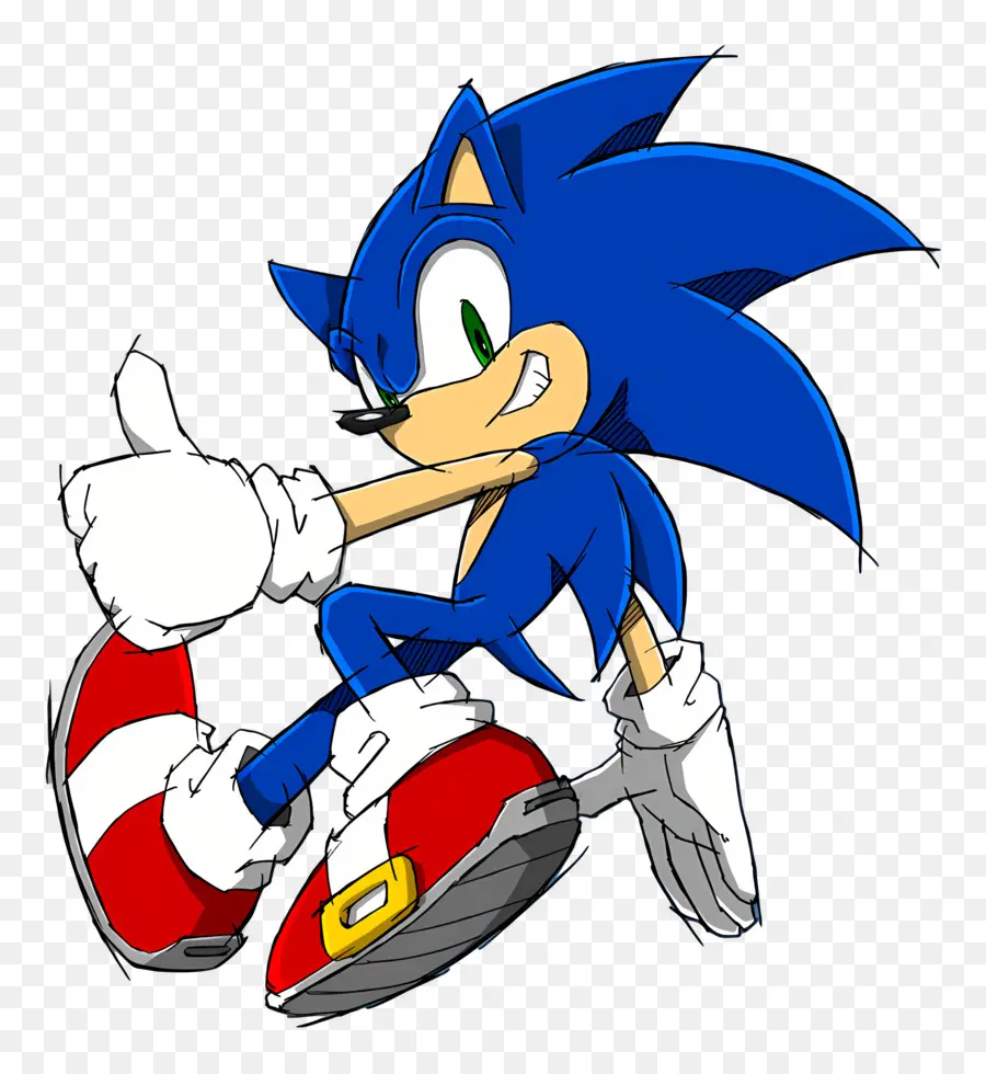 Sonic Kirpi，Kirpi Karakteri PNG