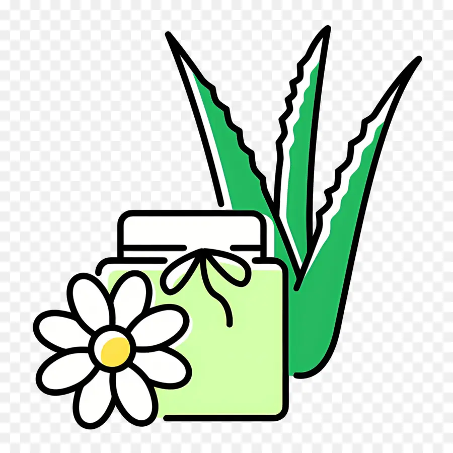 Aloe Vera，Yaprak PNG