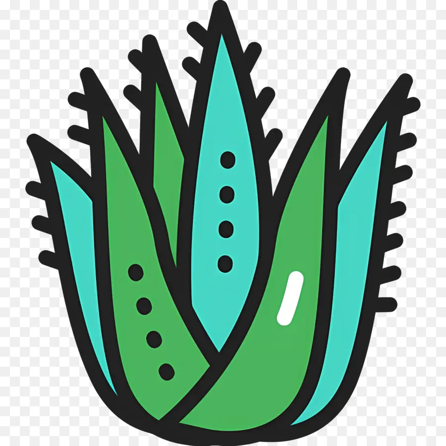 Aloe Vera，Aloe Bitkisi PNG