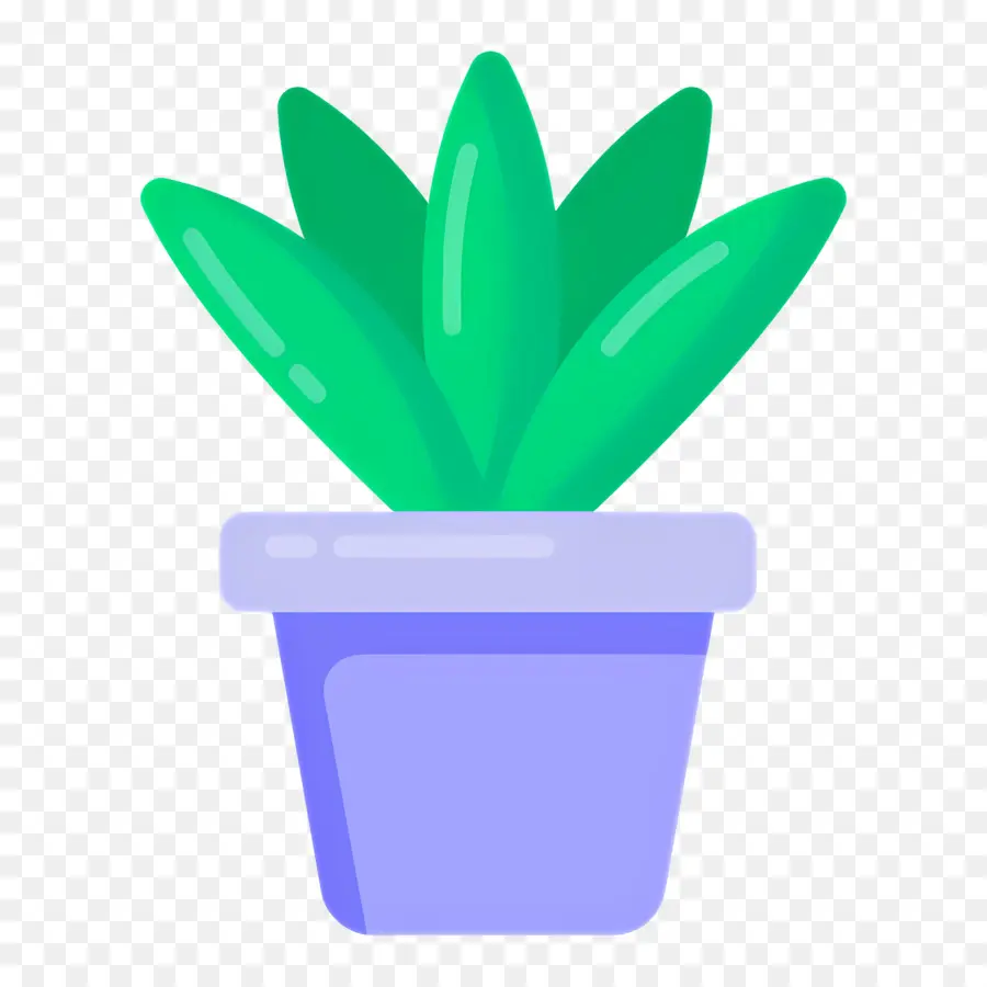 Aloe Vera，Yeşil Bitki PNG