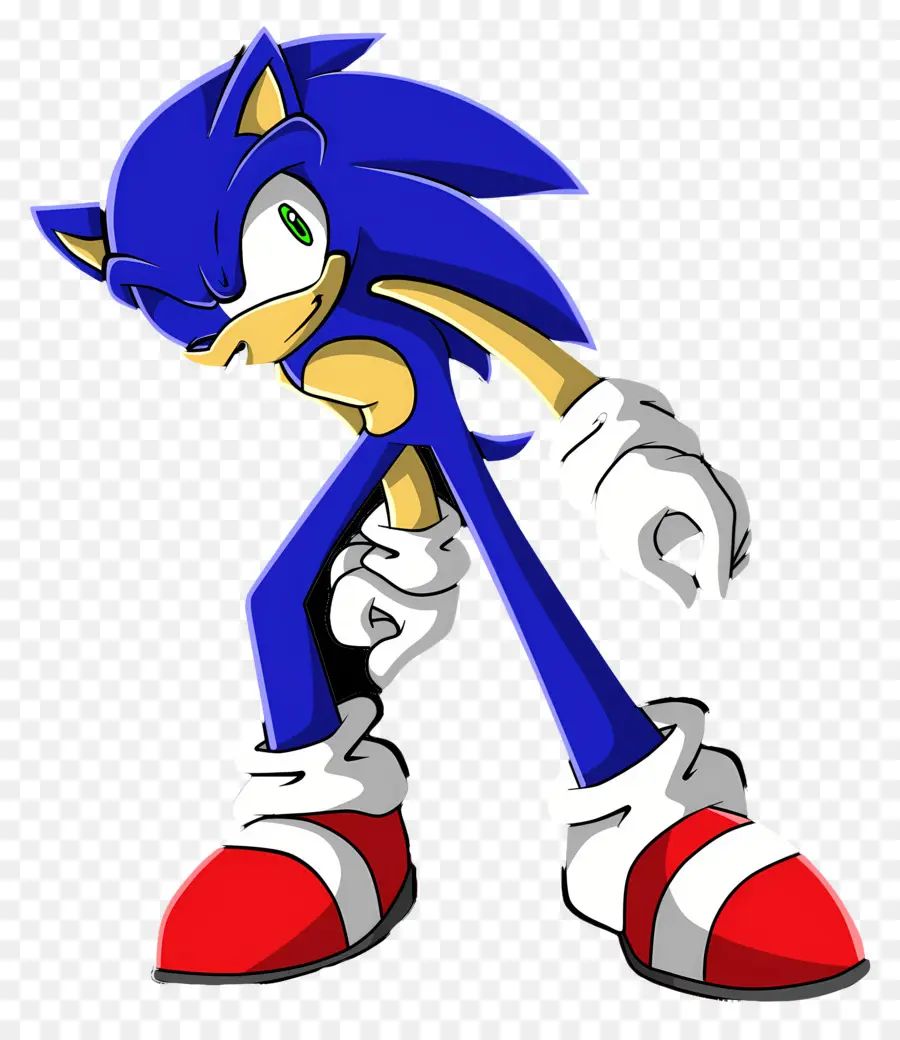 Sonic Kirpi，Kirpi Karakteri PNG