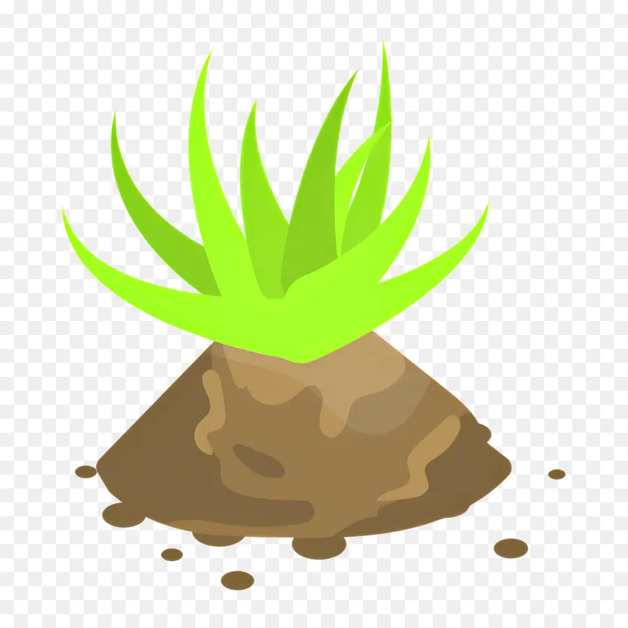 Aloe Vera，Yeşil Bitki PNG