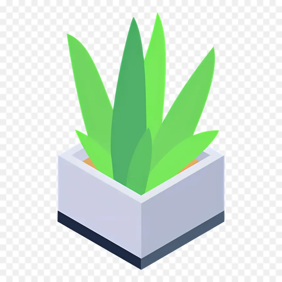 Aloe Vera，Saksı Bitkisi PNG