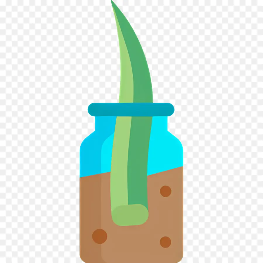 Aloe Vera，Kavanozda Aloe PNG