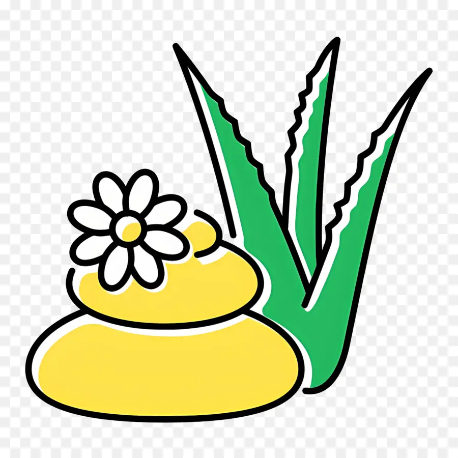 Aloe Vera，Aloe Vera Kremi PNG