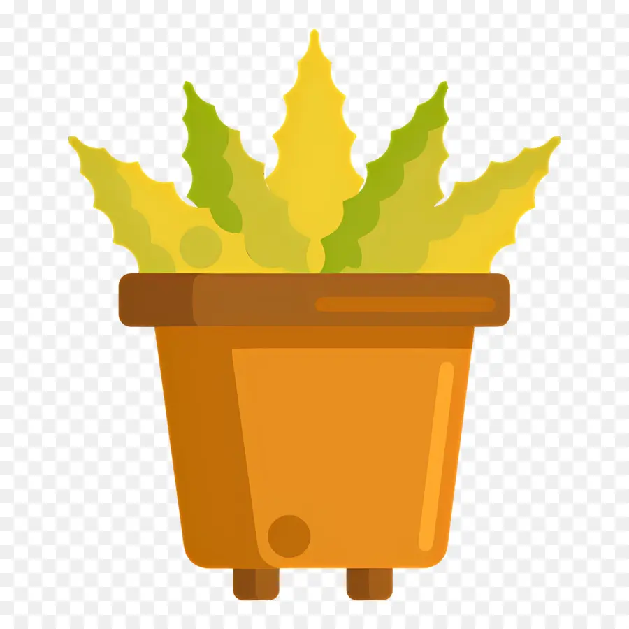 Aloe Vera，Saksıda Sarı Bitki PNG