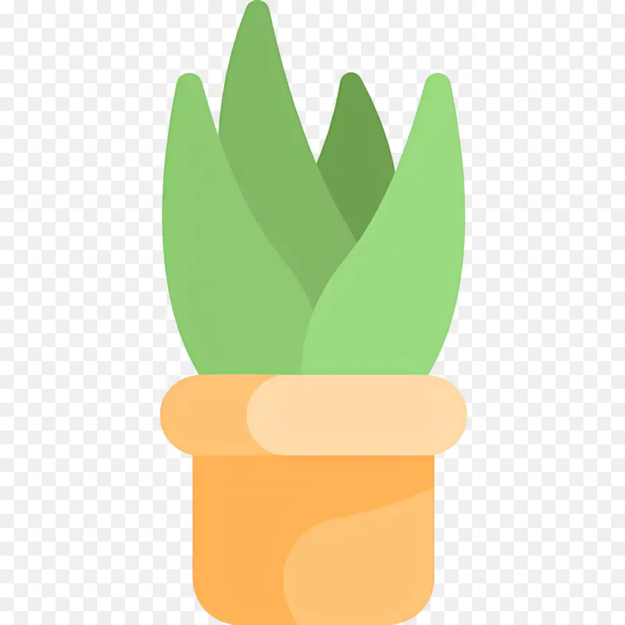 Aloe Vera，Yeşil Bitki PNG