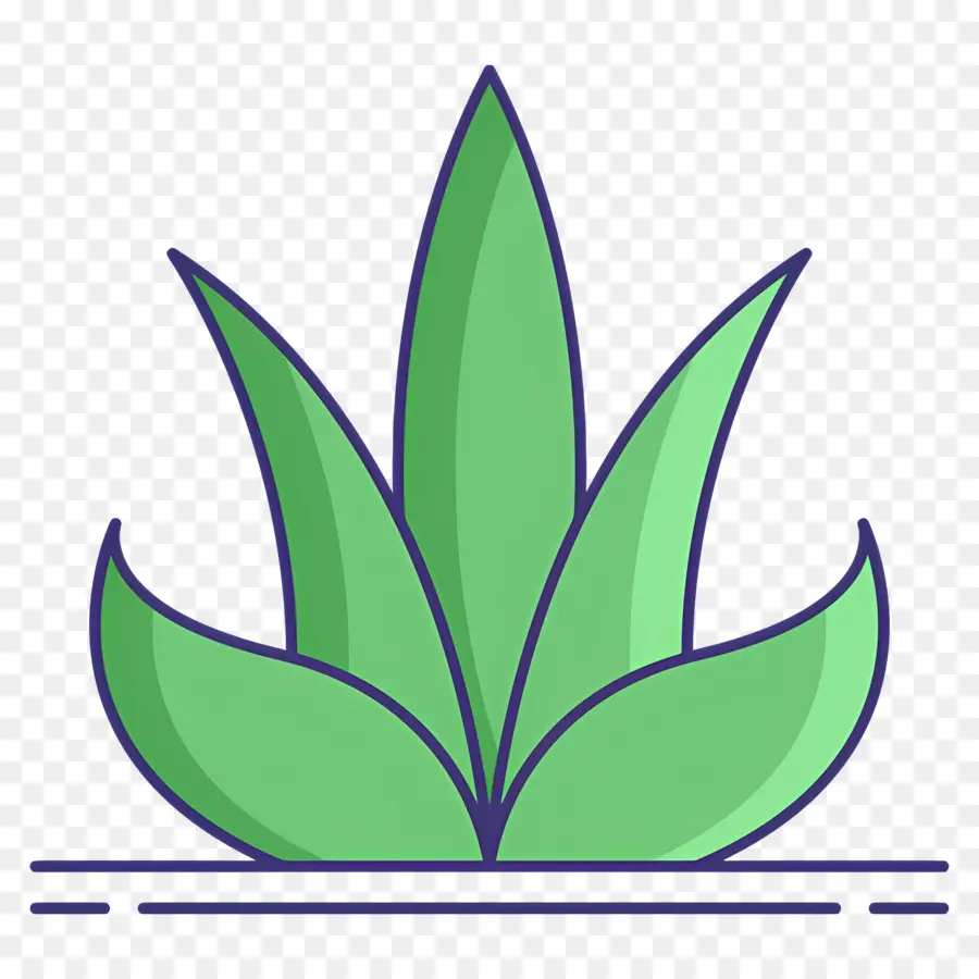 Aloe Vera，Yeşil Bitki PNG