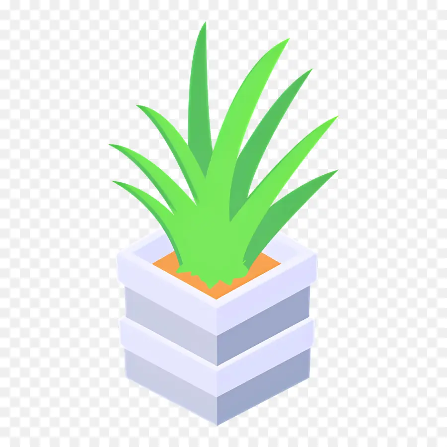 Aloe Vera，Saksı Bitkisi PNG