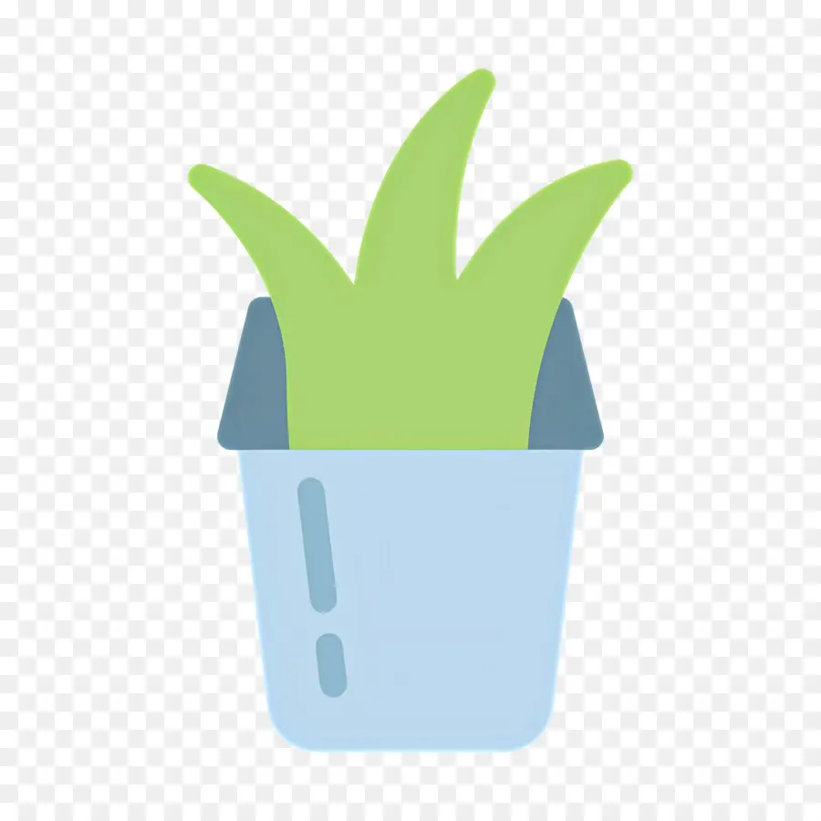 Aloe Vera，Aloe Tencerede PNG