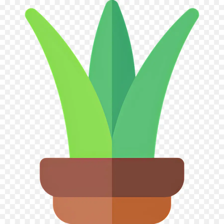 Aloe Vera，Saksı Aloe Vera PNG